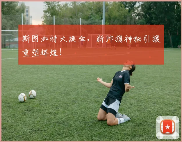 斯图加特大换血，新帅携神秘引援重塑辉煌！